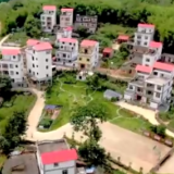 新闻调查丨中国这十年：基层堡垒