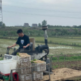 新华全媒+|筑根基 拓渠道 兴科技——南方粮食主产区生产一线见闻