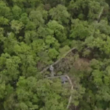 大美边疆行丨面朝高原 格桑花开