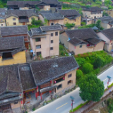 镜头里的十年·奔向美好丨村里那条路