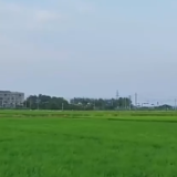 央视新闻丨“智慧”解码 农业升级——新基建 新生活