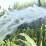 新华全媒+丨安徽：多措并举抗旱保秋收