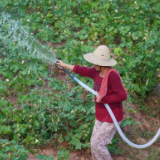 “用好每一滴水!”——直击湖南特旱地区抗旱救灾一线