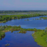 万人说新疆丨跟随摄影师到伊宁市芳草湖看天鹅宝宝