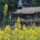 中秋假期各地多措并举 助力文旅市场恢复向好