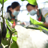 全国科普日活动：感受科技魅力