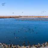新春走基层丨六年：他的春节在巡湖路上度过