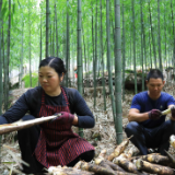 乡村振兴丨贵州遵义：东西部协作盘活闲置资产带动乡村振兴