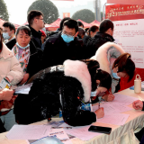 民生直通车丨“归雁”返乡就业创业，底气在哪