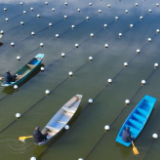 浙江德清:水上春耕备耕忙