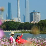 谱写美丽中国的湿地篇章——写在第27个世界湿地日