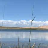 牧民守护江源湿地