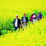 春光正好，乡村旅游提质升级再出发