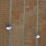 全国春播开局良好 播种面积超5500万亩