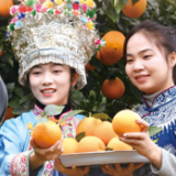 2022年，我国农产品加工转化率达72%，网络零售额同比增长9.2% 挖掘产业优势 推进乡村振兴（经济聚焦）