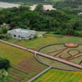 和美乡村迎盛会