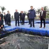 习近平在广东考察调研