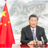 第1视点丨习近平：把红树林保护好