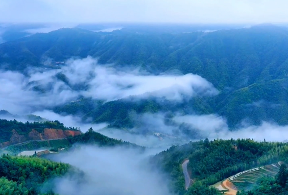 炎陵：高山云海入画来 大好风光又一春