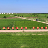 时政新闻眼丨习近平考察河北沧州，关注这些“国之大者”