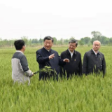 时政微观察丨如何搞好特色农业，总书记划重点