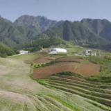荞麦花开摇曳生姿 小杂粮产业带动农民增收致富
