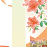 井冈山市·杜鹃花 岭上开遍映山红（一朵花读懂一座城）