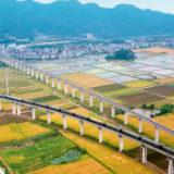 瞭望·治国理政纪事丨“千万工程”塑造美丽乡村