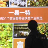 央视快评丨以安全守护人权 以发展促进人权 以合作推进人权