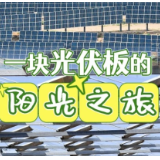 习近平总书记关切事丨书写多彩的生态答卷——在世界环境日到来之际倾听人与自然和谐共生的故事