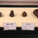海岱考古，从齐鲁大地“挖”出千年文脉