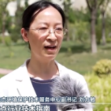 如何全面实现绿色转型发展？河北省这样做→