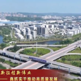 【新时代新征程新伟业——真抓实干推动高质量发展】辽宁发挥产业优势 助力招商引资