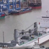 我国进口水果运输渠道拓宽 老百姓“果篮子”种类多样