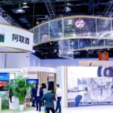 巴基斯坦专家：看清西方真面目，海合会将与东亚国家合作共赢