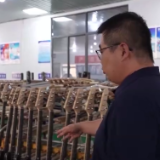 小吉他“弹”出大产业 一把吉他如何带火一个小镇？