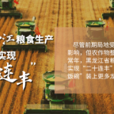粮仓黑龙江粮食生产有望实现“二十连丰”