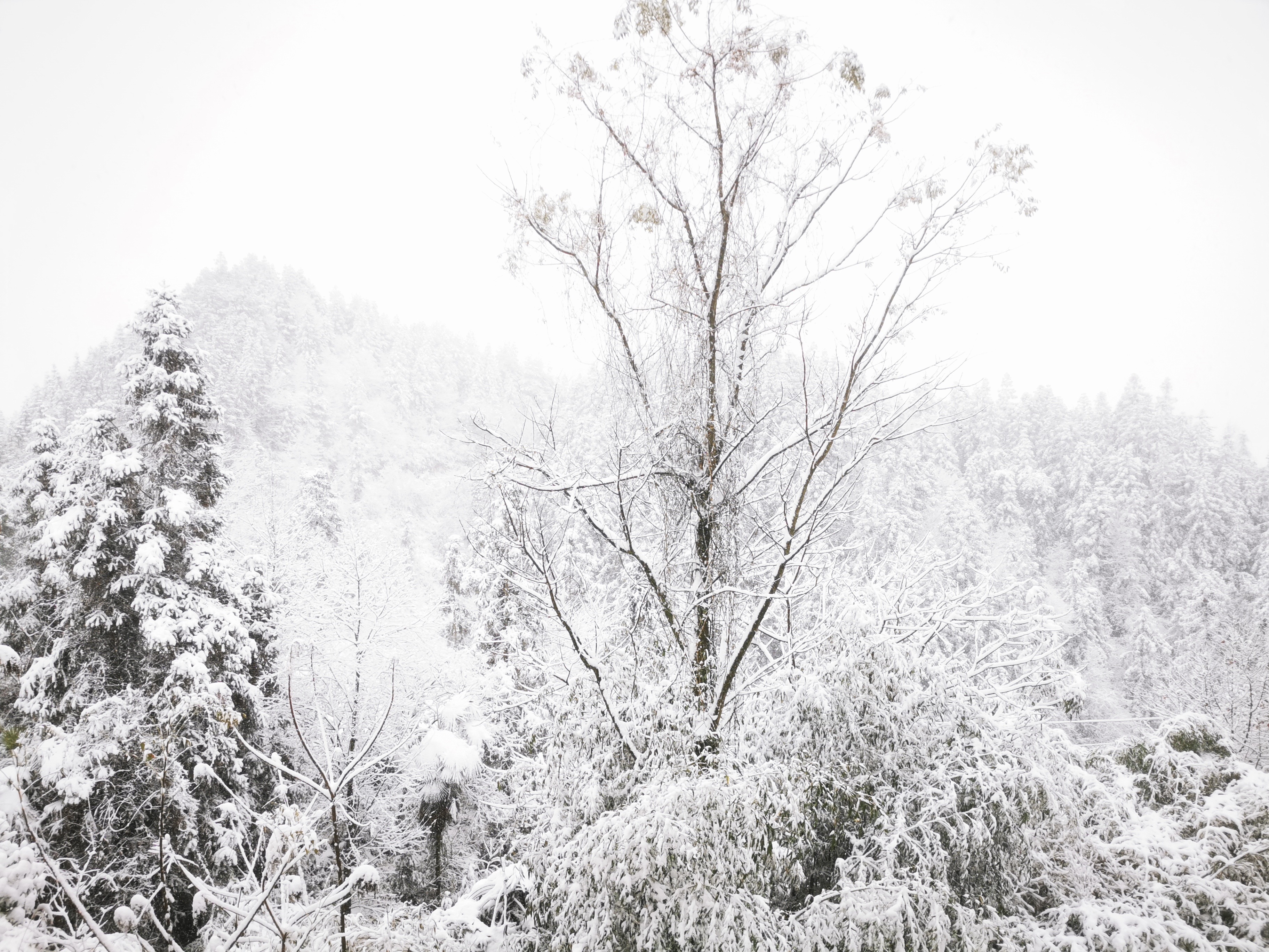 2025年第一场雪终于下到了怀化