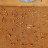 “十三五”湖南省十大考古新发现评选结果揭晓