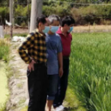 袁隆平：改造1亿亩盐碱地种水稻，每年能多养活8000多万人口