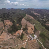 擂产业战鼓 奏振兴乐章 ——龙山县农业特色产业发展纪实