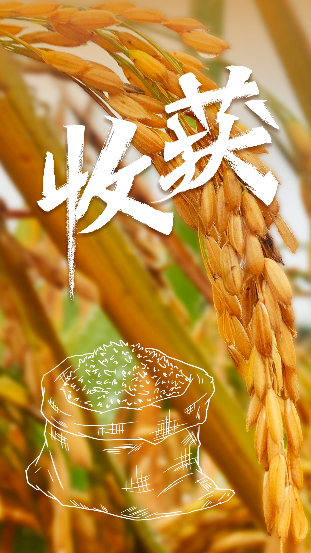 11月.jpg