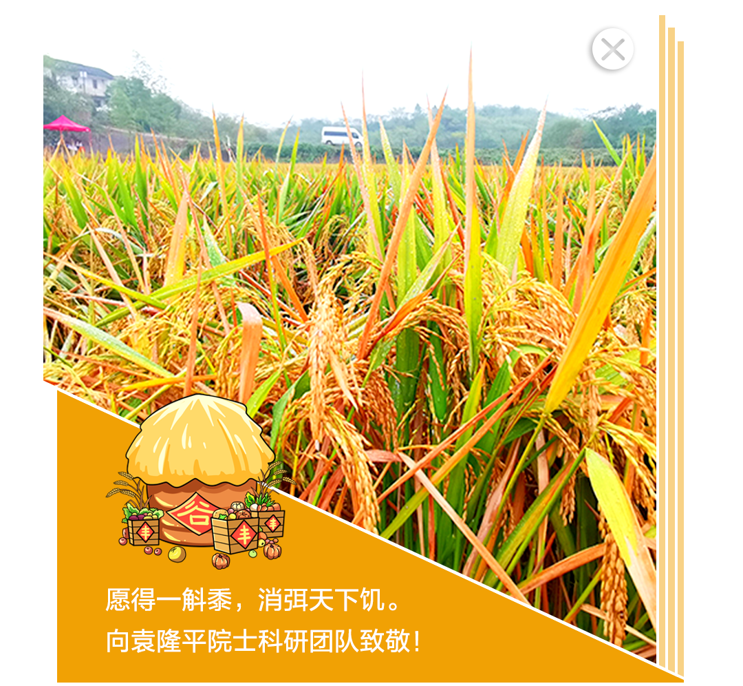 11月弹窗2.png