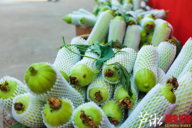 QQ截图20211111160350.png