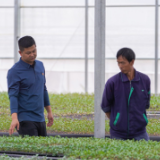 长征路上新青年｜“红色之城”里的村支书，90后“养鹅大王”挑起新担子