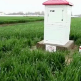 央视调查：投资数千万水利工程三年不能用，墙里是塑料泡沫
