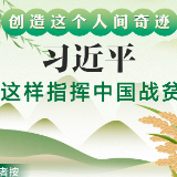 创造这个人间奇迹 习近平这样指挥中国战贫