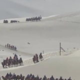 各地运用数字科技技术 让游客“智慧旅游”愉快出行