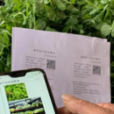 湖南1.2万个农产品佩戴“身份证” 戴证农产品更受青睐