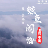 “飞阅”中国丨崀山名场面：“鲸鱼闹海”奇观